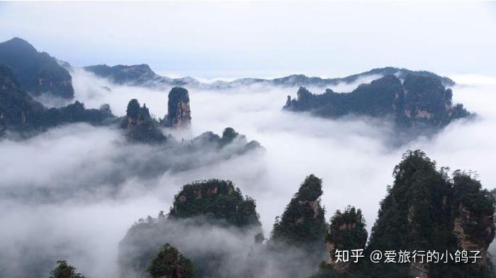 張家界請一個導游,不強制自費景點,不進購物店 張家界請一個導游,不強制自費景點,不進購物店