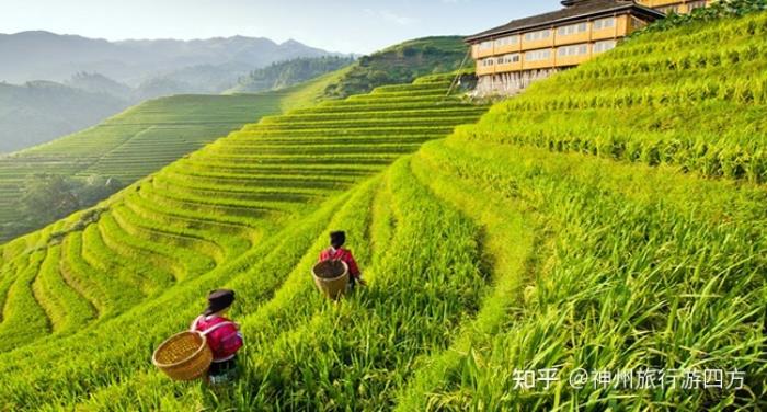找桂林知名地接導游需注意什么桂林陽朔游玩,看到好多網友在網上推薦 找桂林知名地接導游需注意什么桂林陽朔游玩,看到好多網友在網上推薦