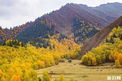 仙米國家森林公園